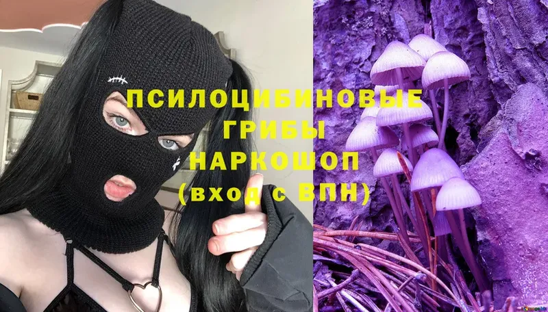 где можно купить   Клин  мега ссылка  Галлюциногенные грибы Cubensis 